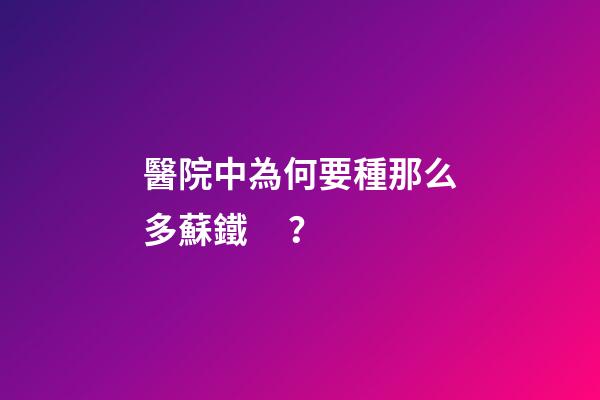 醫院中為何要種那么多蘇鐵？